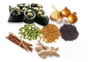 Immune System Booster Supplements Immune System Booster Supplements